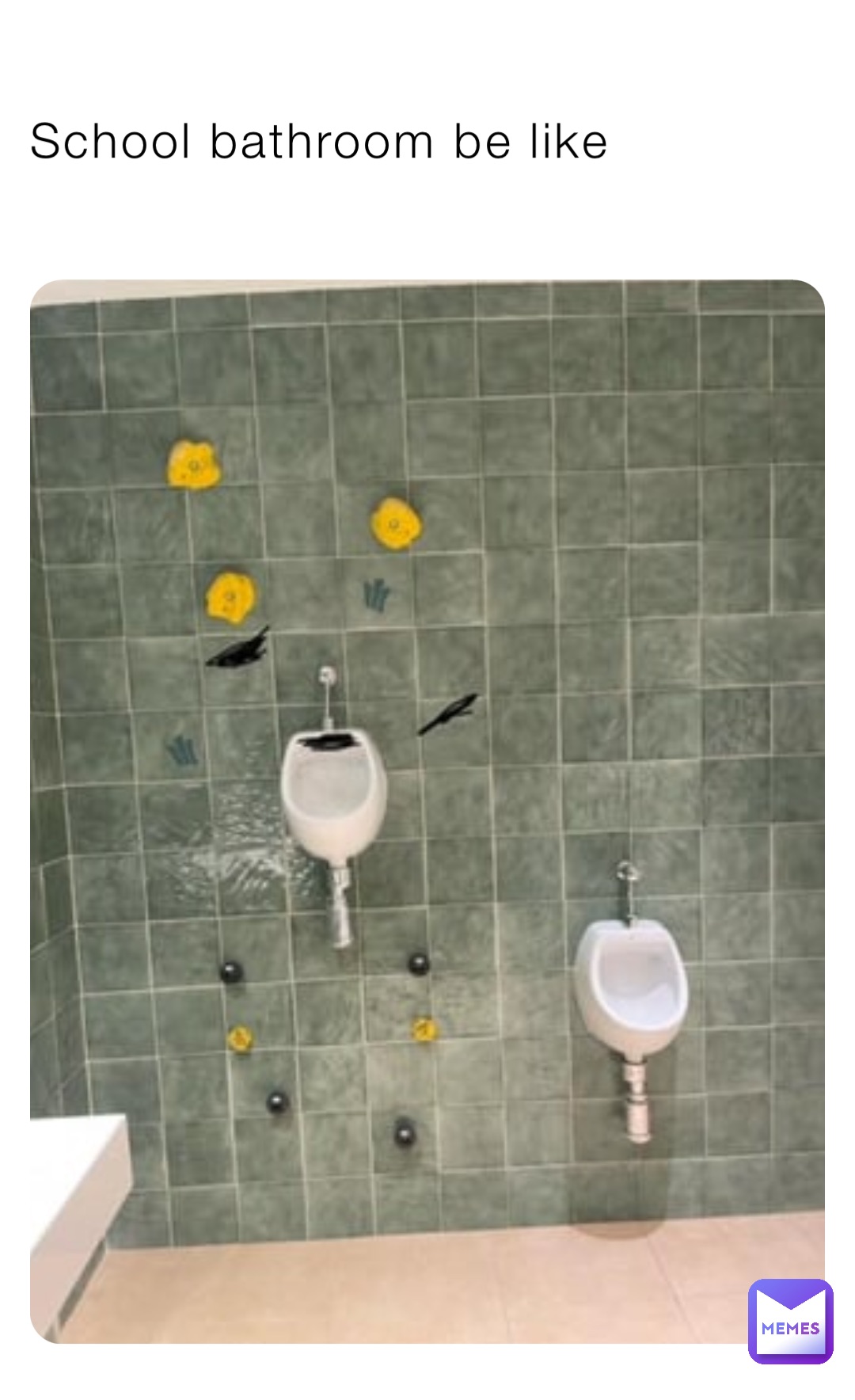 School bathroom be like