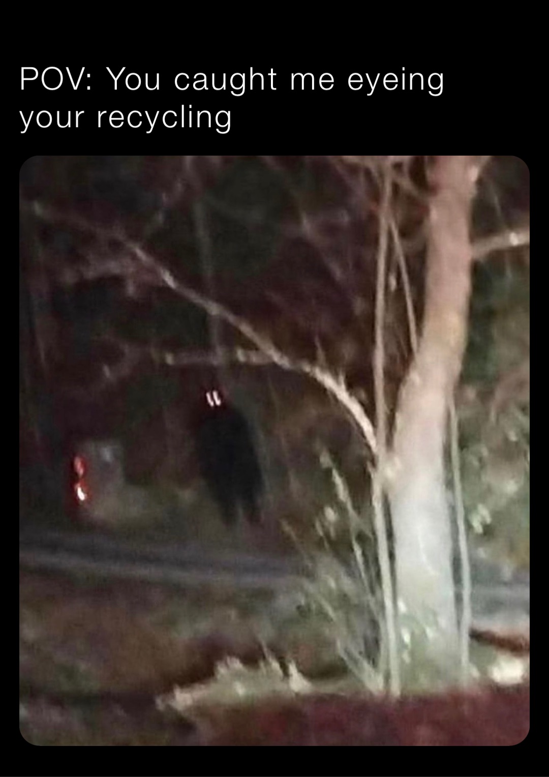 POV: You caught me eyeing your recycling