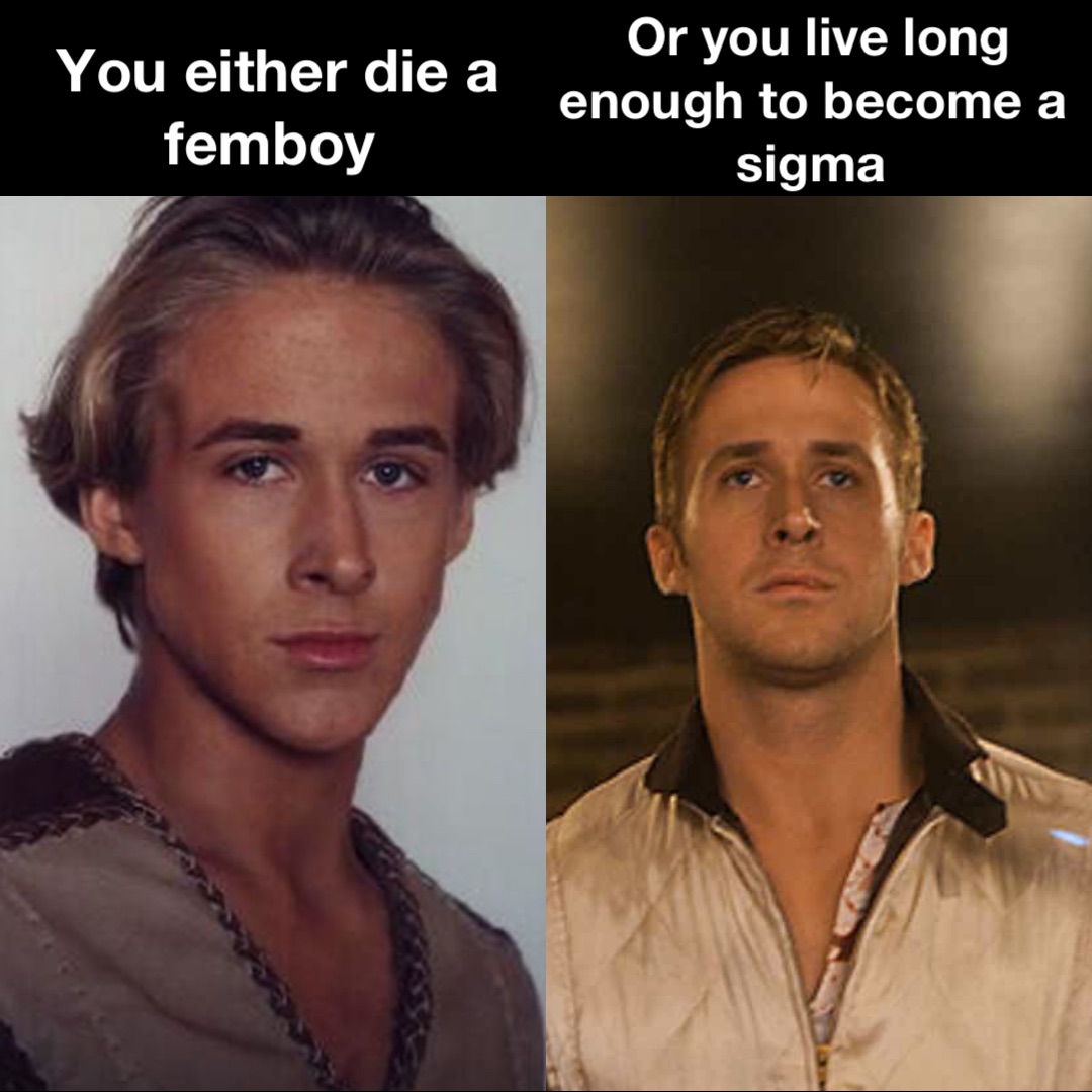 You either die a femboy Or you live long enough to become a sigma