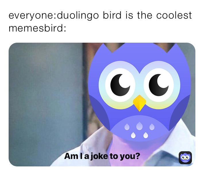 everyone:duolingo bird is the coolest
memesbird: