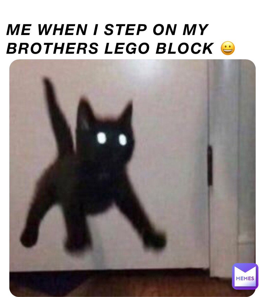 Me when I step on my brothers Lego block 😀