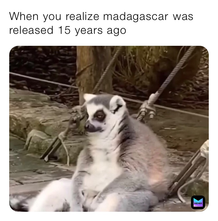 When you realize madagascar￼ was released 15 years ago￼