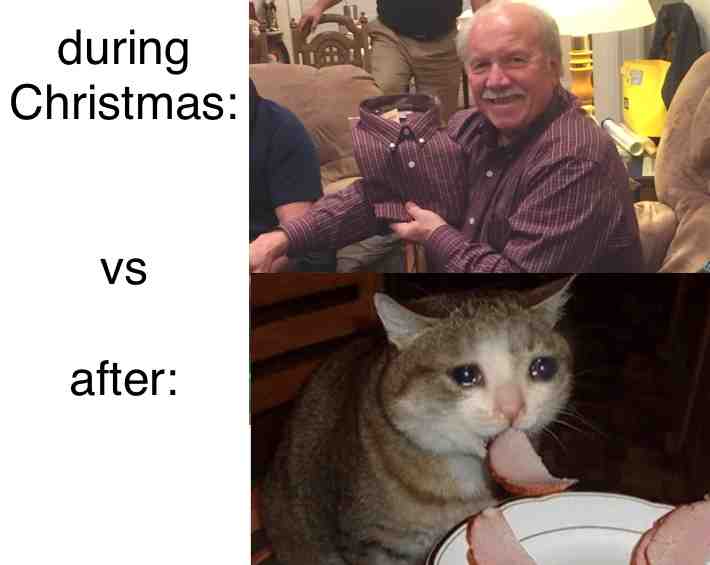 5 year old me when I didn’t get what I wanted  #meme  #memes  #expectationvsreality  #christmas  #sad #fyp #foryoupage