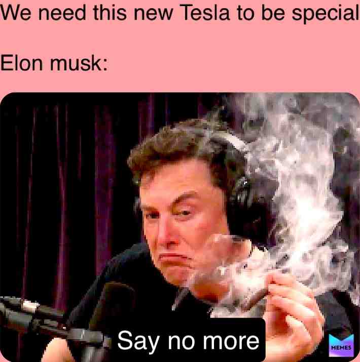 He did it for the memes  #memes  #meme  #tesla  #elonmusk  #saynomore    #fyp  #foryoupage