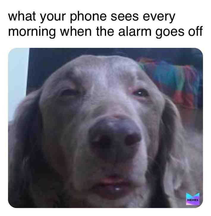 What your phone sees every morning when the alarm goes off ​ #meme ​ #memes  #fyp  #foryoupage  #morning  #morningvibes  #monday
