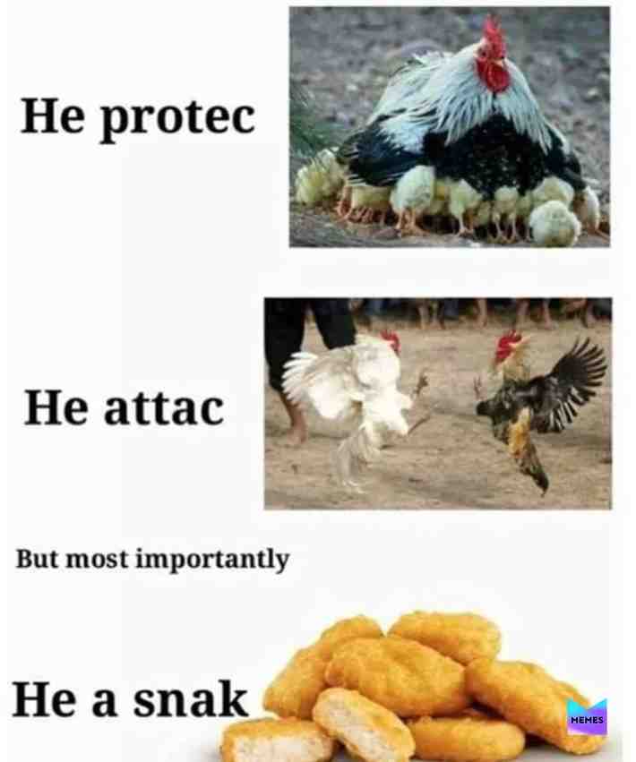 My favorite memes 2/10 #meme #memes #fyp #foryoupage #snack #cock #protec #attac