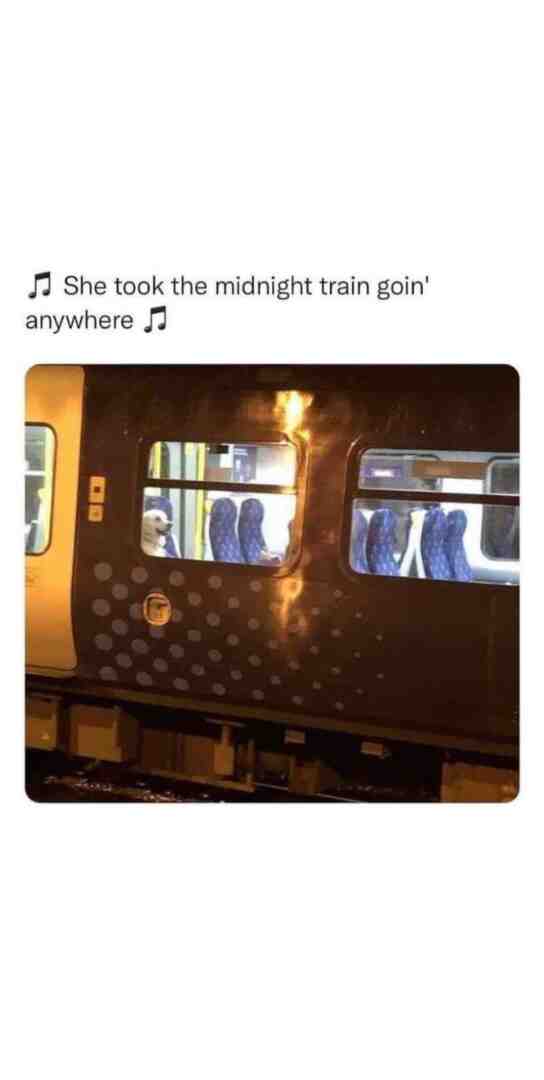 Meme shared by @KidFr