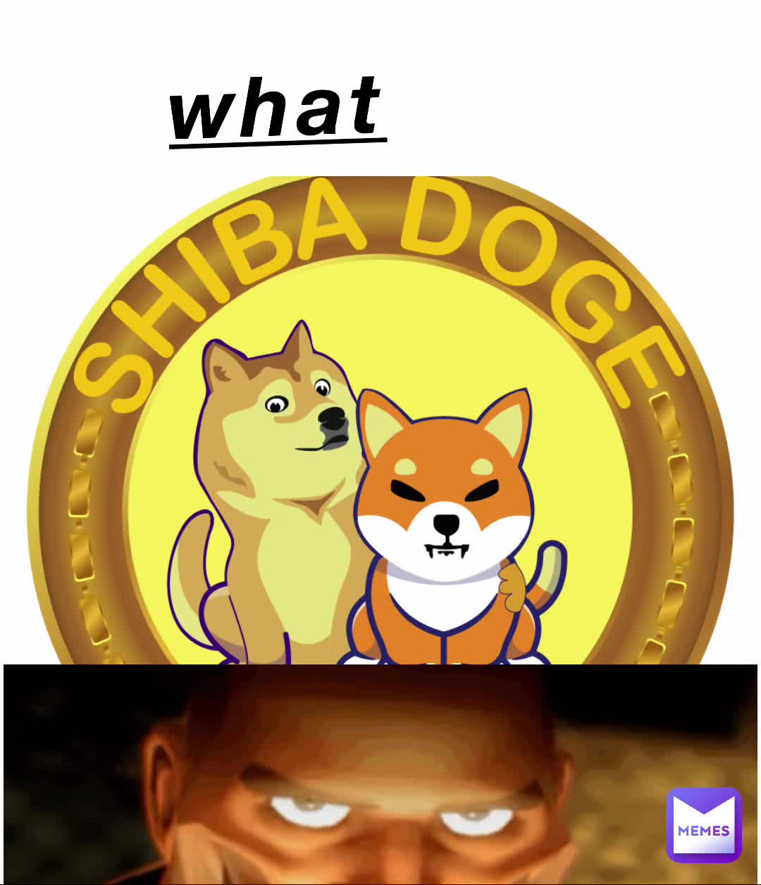Meme shared by @KidFr