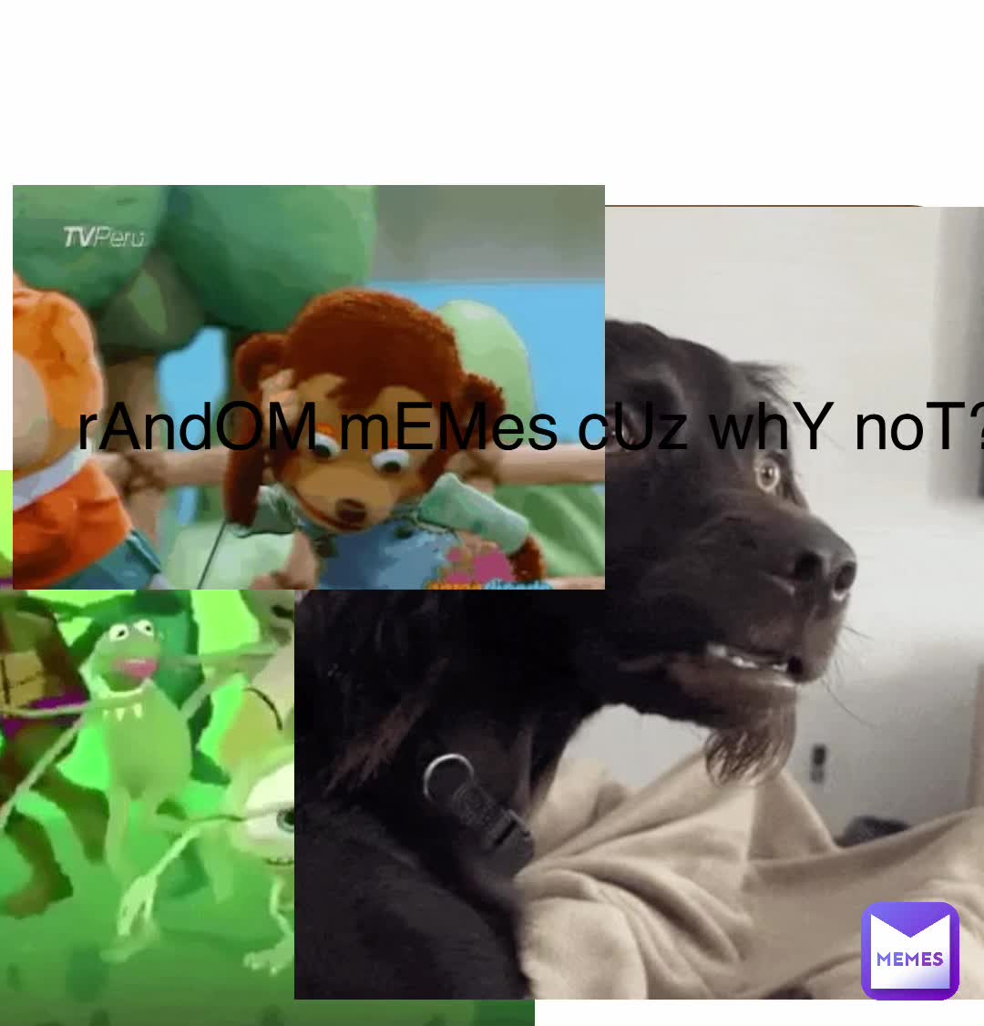 Meme shared by @KidFr