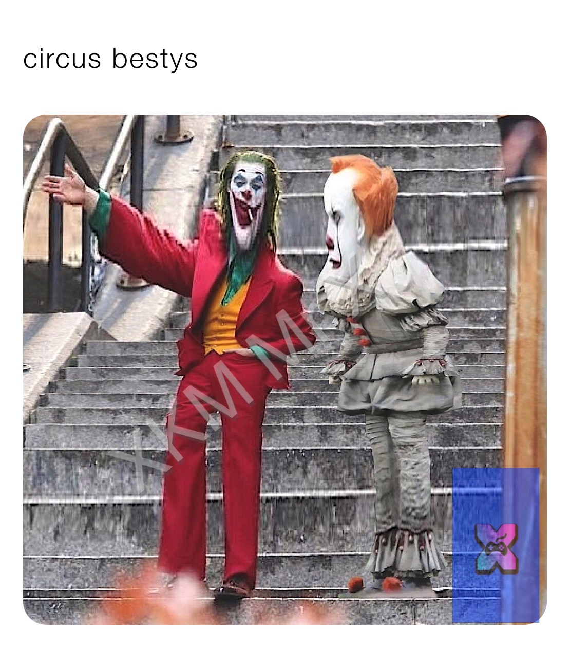 circus bestys