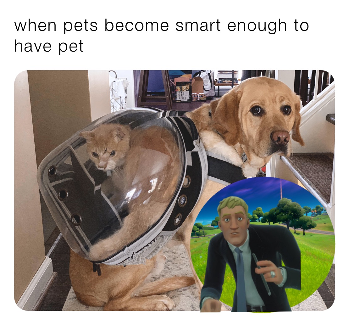 when pets become smart enough to have pet