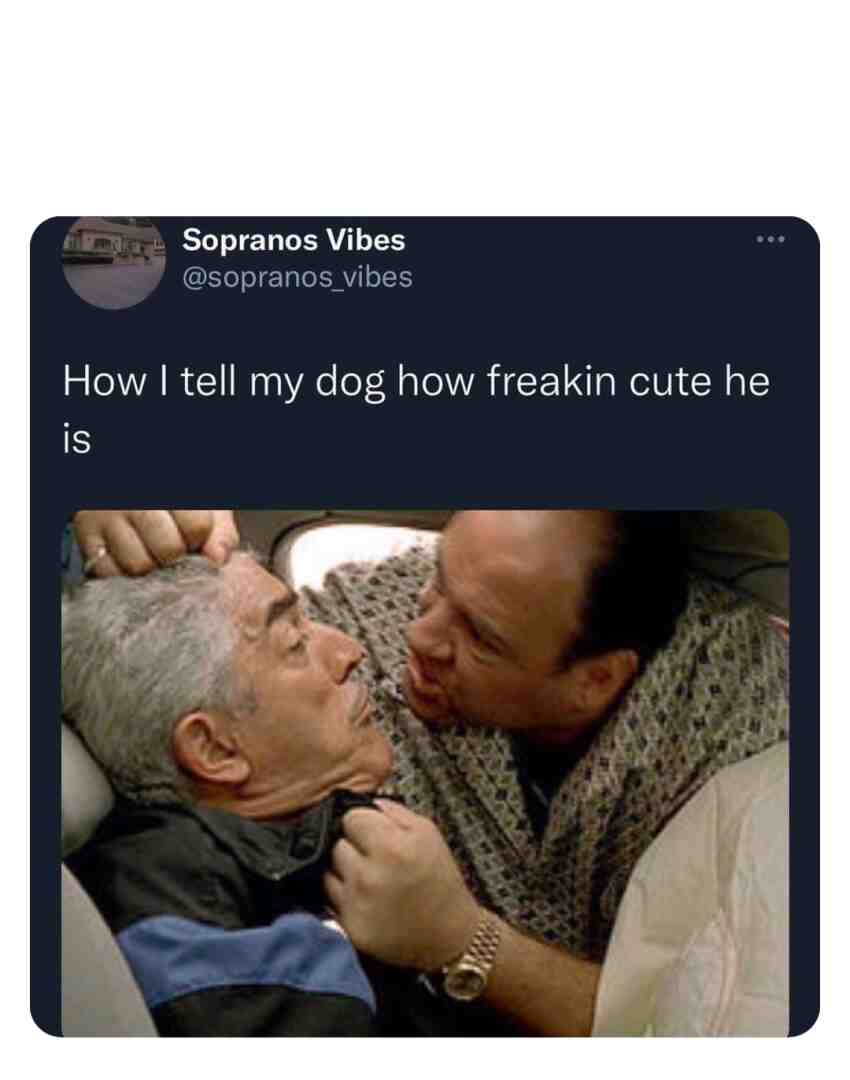 Meme preview
