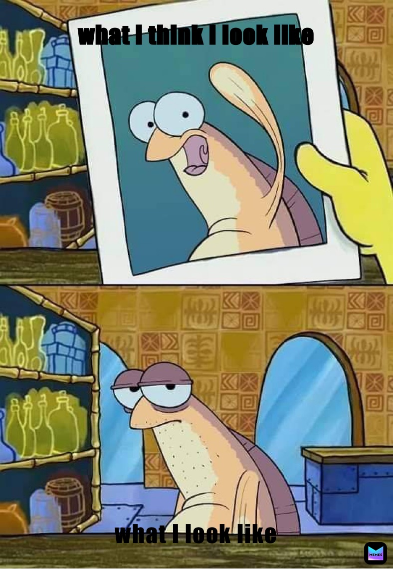 what I think I look like what I look like