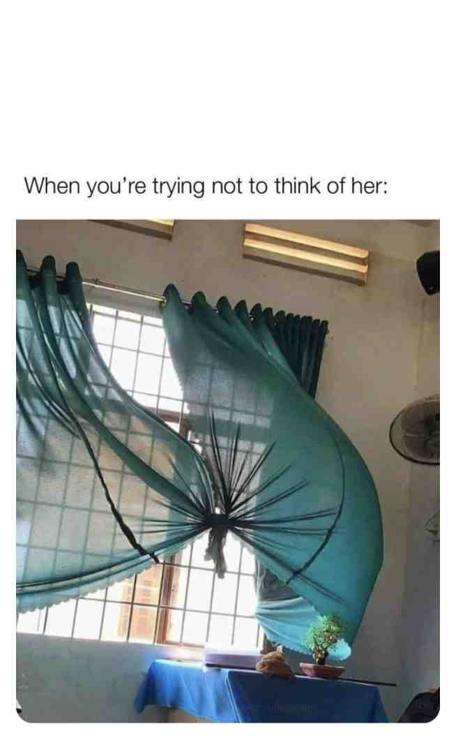 Meme shared by @jayden-plays
