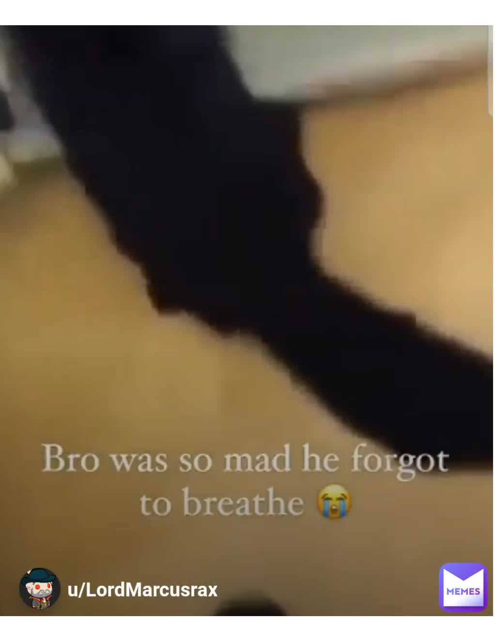Breathe lil bro 😭