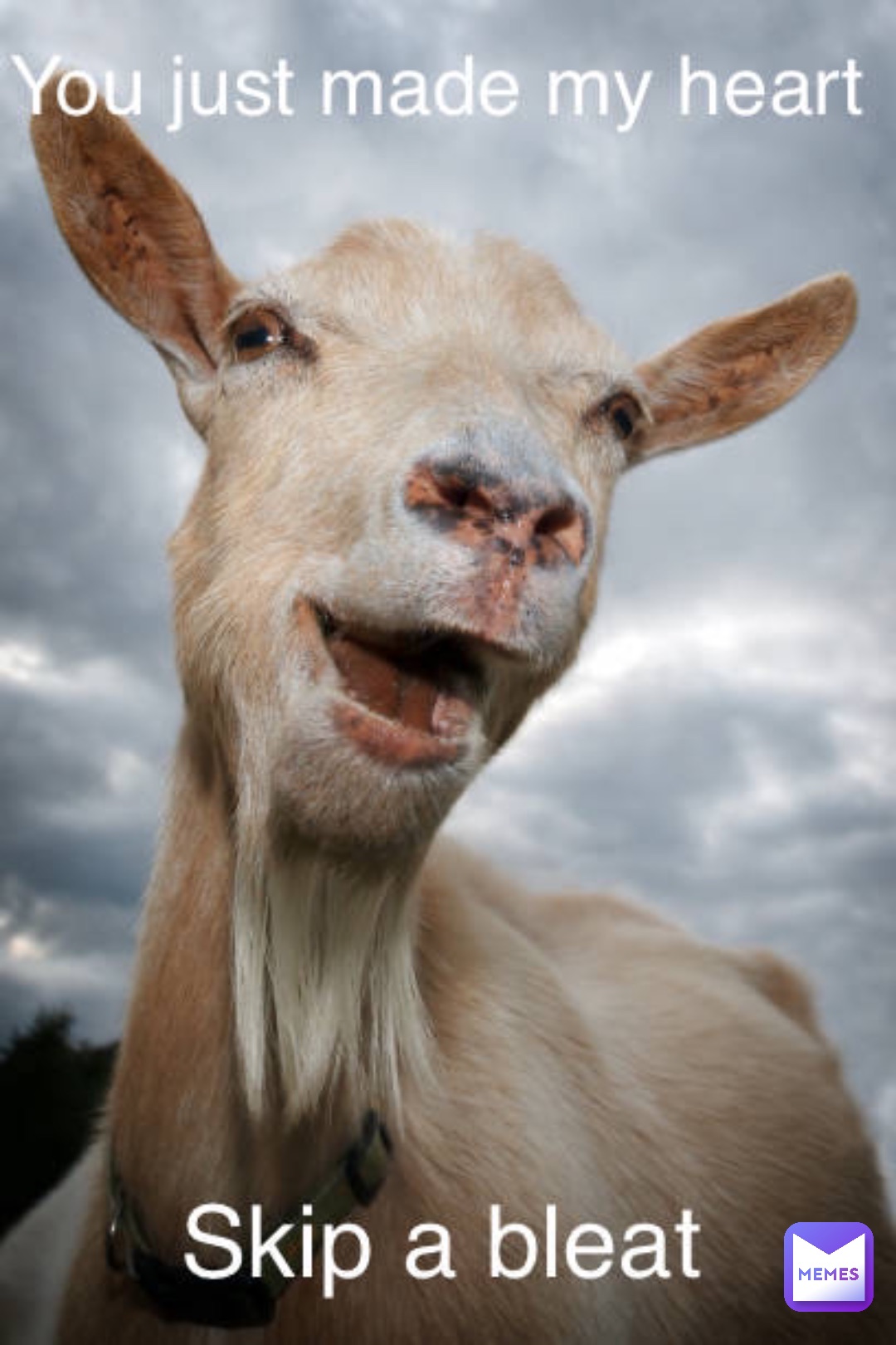 Meme by ethereal_grace