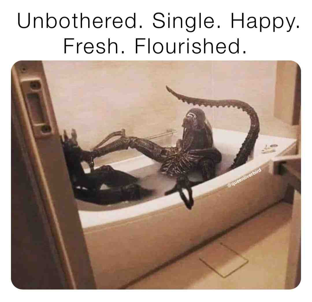 #itsavibe
.
.
.
#scousememes #memes #sassymemes #memequeen #sassyqueen #savagequeen #queenliverbird #liverbird #scousebirds #liverpoollasses #britishmemes #tiktokmemes #ukmemes #british #funnymemes #funnymemesdaily #relateable #relateablememes #pma #positivementalattitude #positivevibes #positiveenergy #2023 #justforlaughs