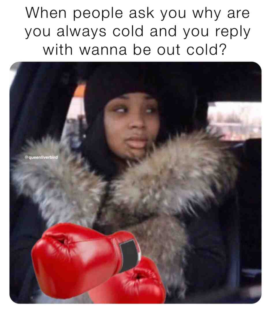 Now let me freeze in peace
.
.
.
#scousememes #memes #sassymemes #memequeen #sassyqueen #savagequeen #queenliverbird #liverbird #scousebirds #liverpoollasses #britishmemes #tiktokmemes #ukmemes #british #funnymemes #funnymemesdaily #relateable #relateablememes #pma #positivementalattitude #positivevibes #positiveenergy #2023 #justforlaughs
