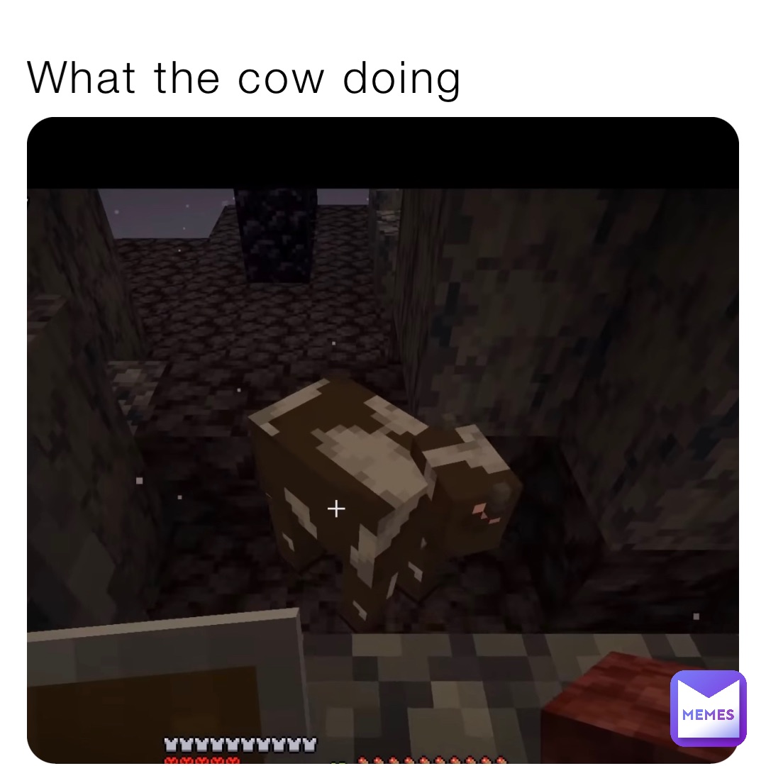 What the cow doing