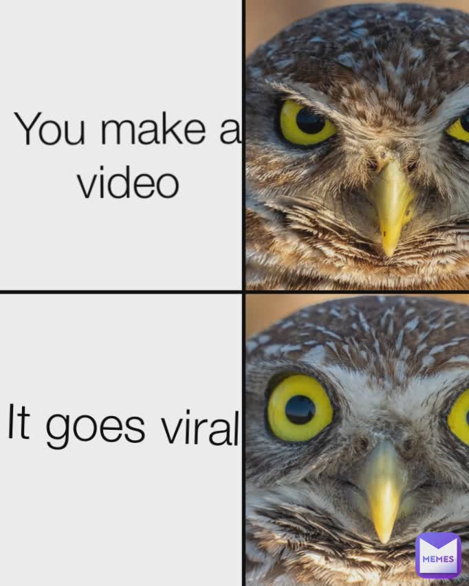 You make a video It goes viral