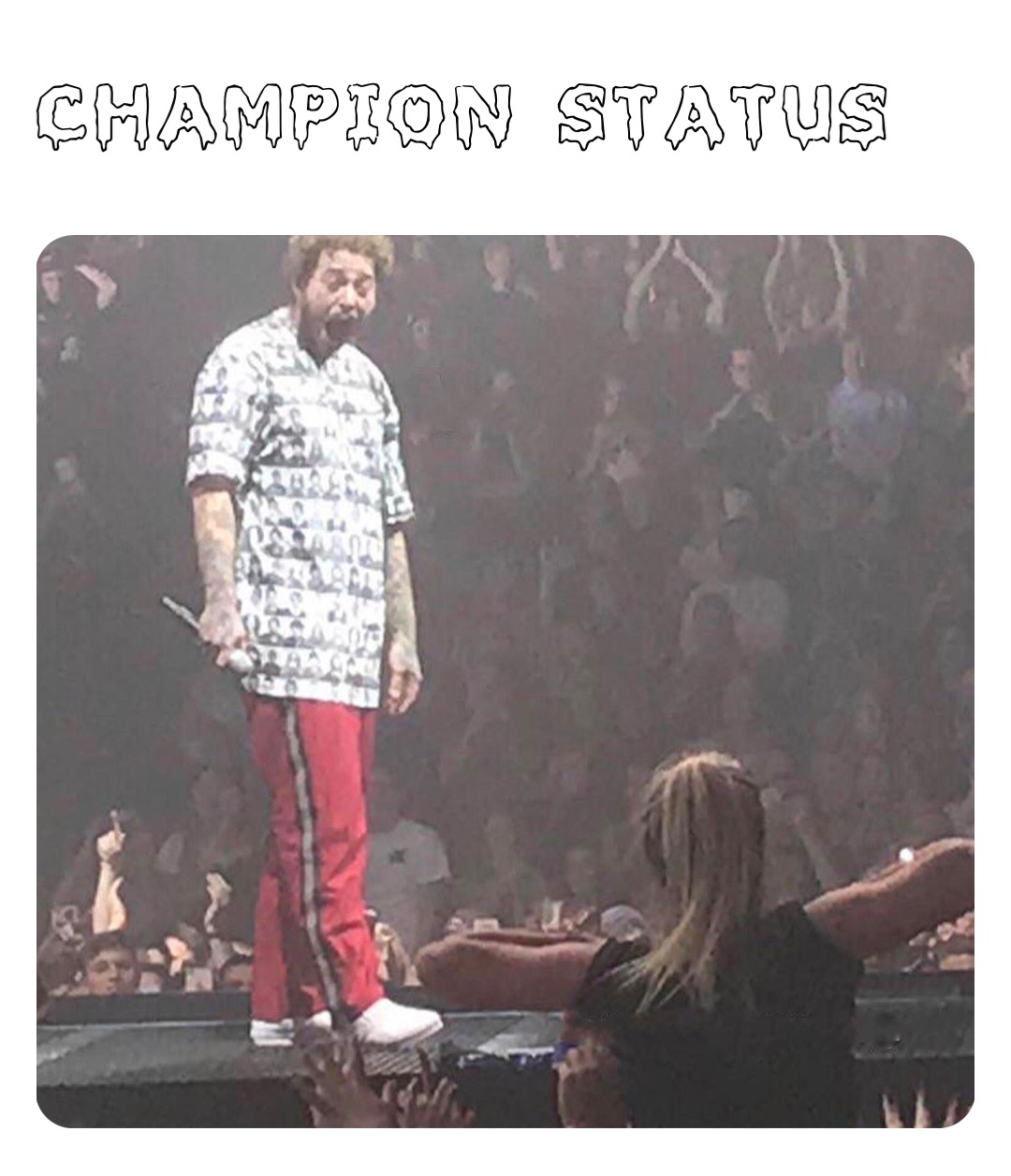 Champion status