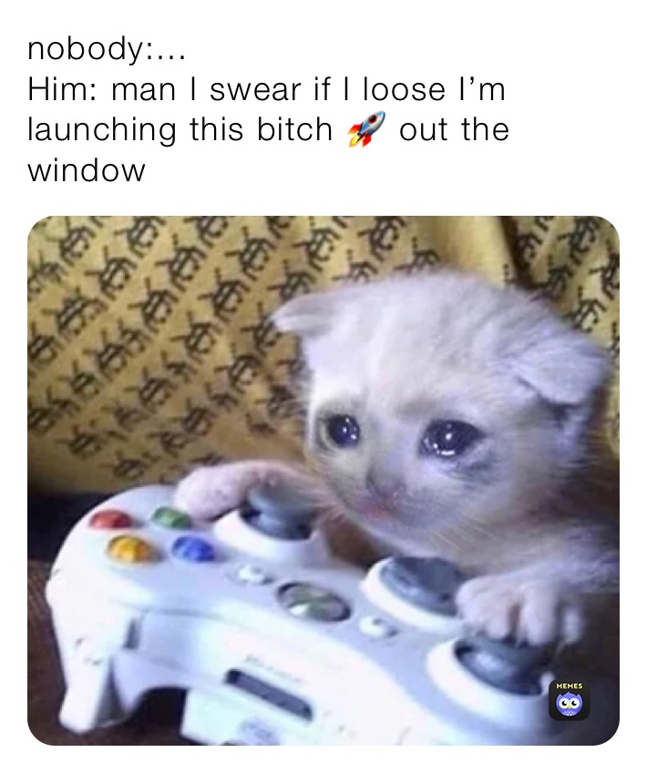 Meme by zamaurywaheed