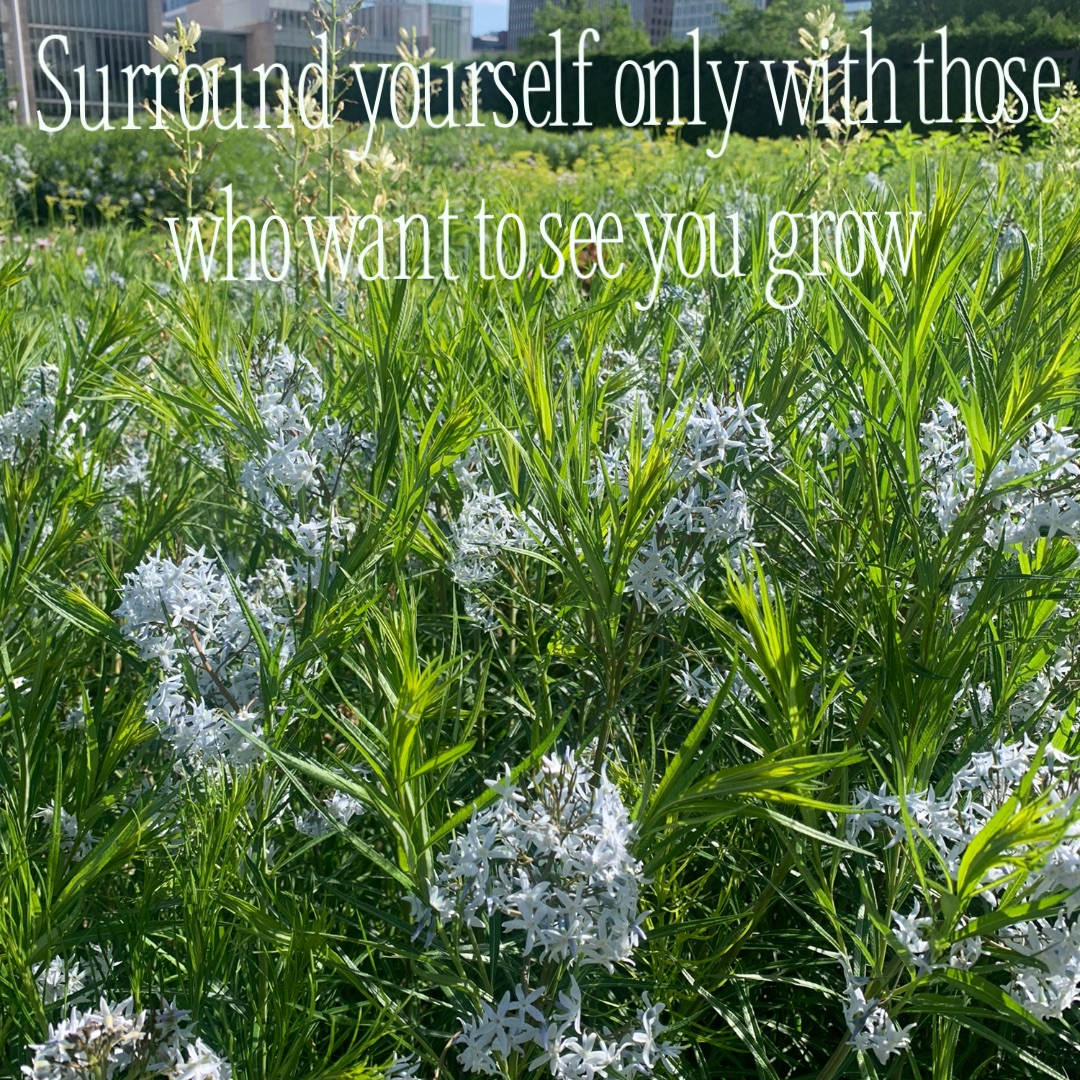 Meme by angeleyes1820