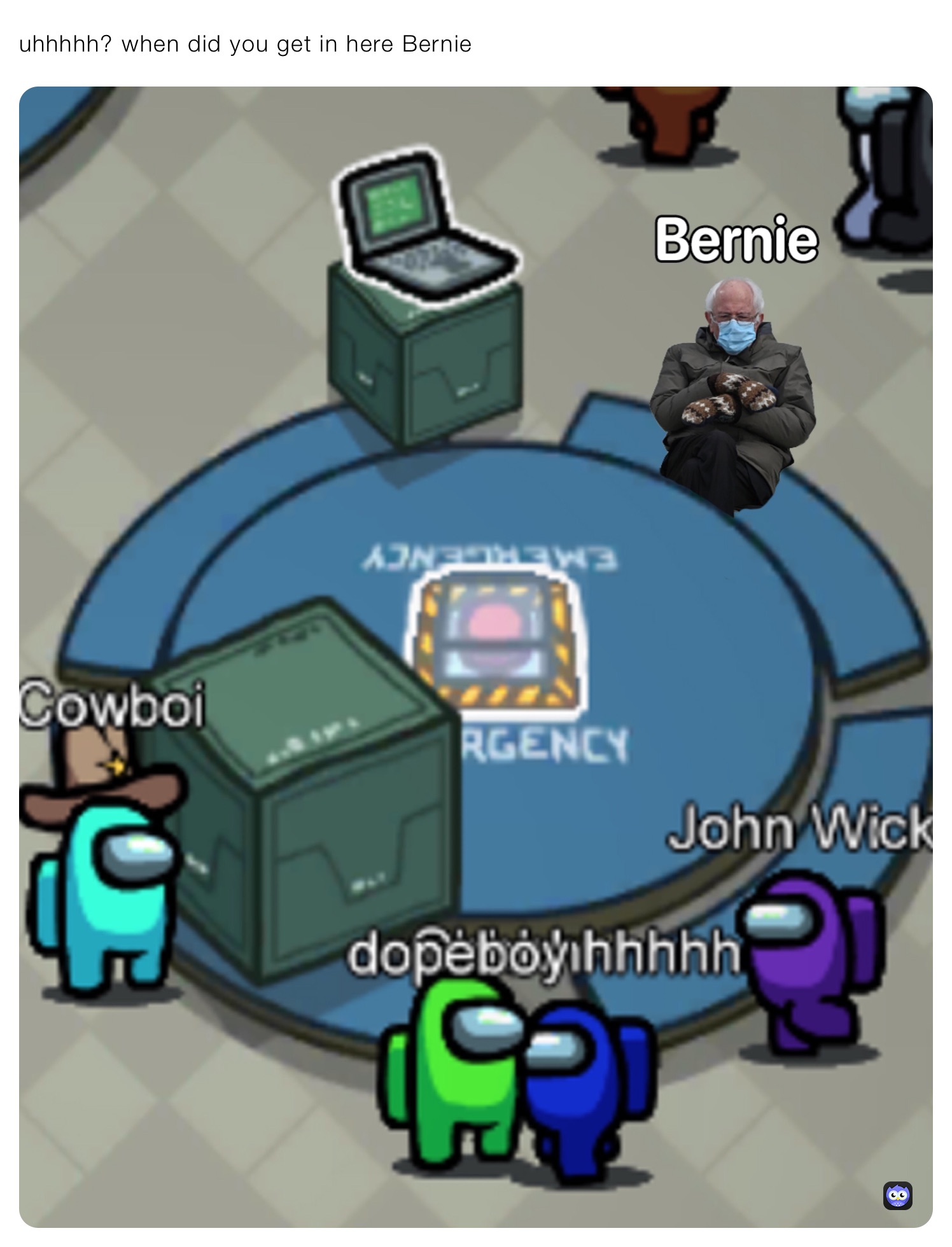 uhhhhh? when did you get in here Bernie 