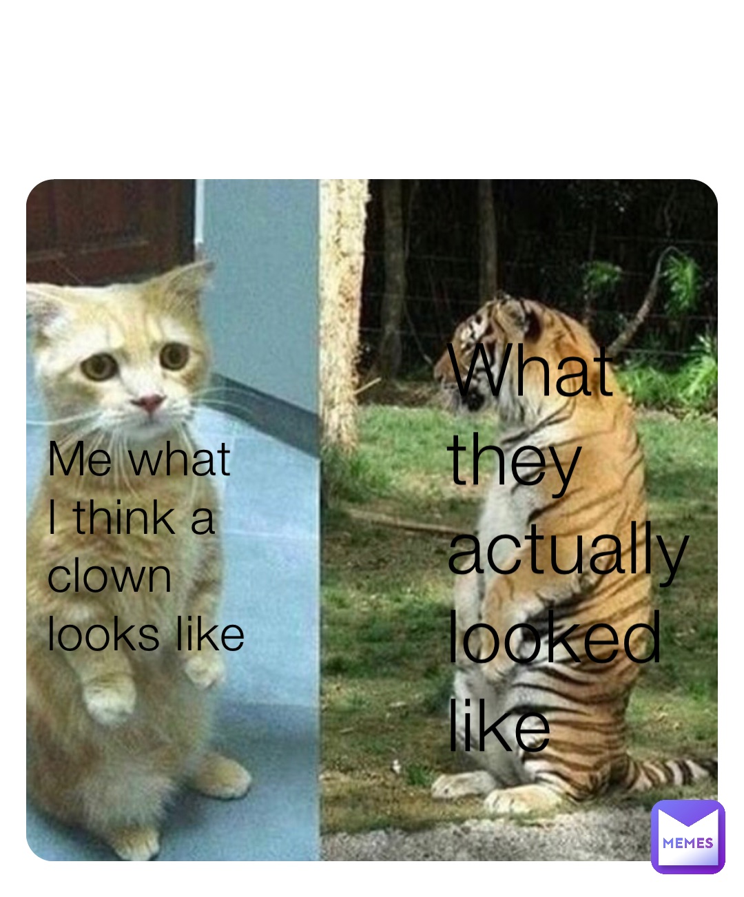 What they actually looked like Me what I think a clown looks like