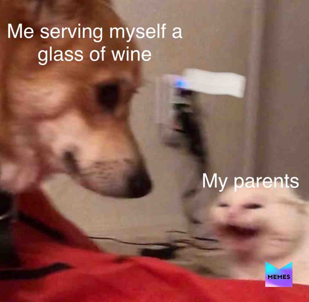 #funny  #cat  #memes  #dissapointment  #sad  #accurate  #dog  #parents