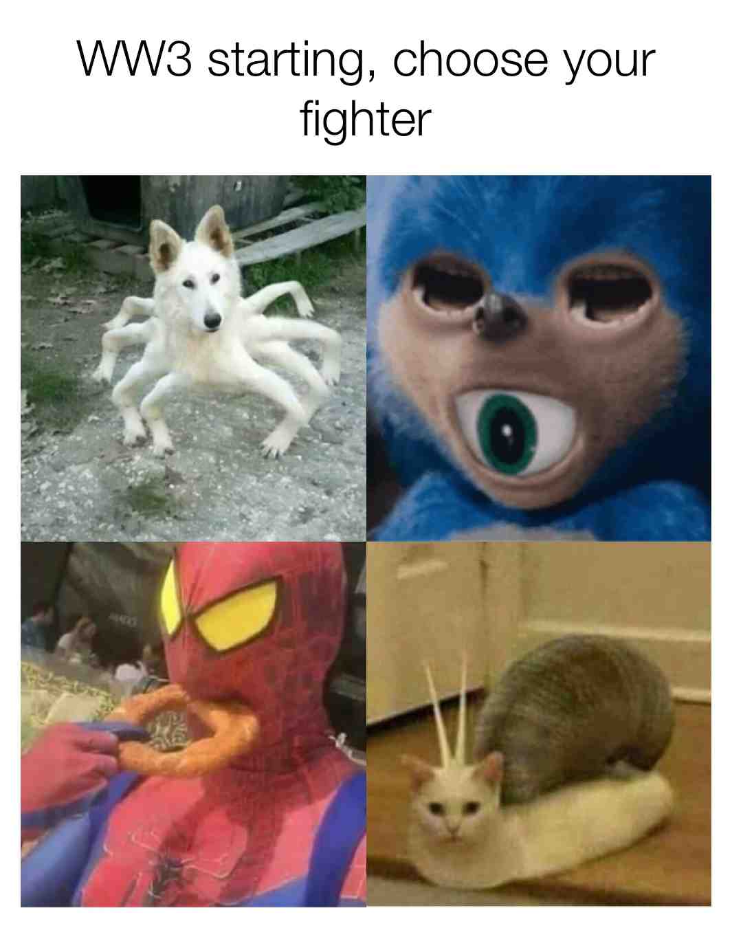 #memes  #wow  #funny  #ww3  #ww3memes  #fighter  #hardcore
