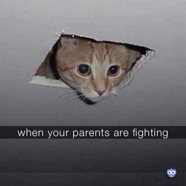 when your parents are fighting 