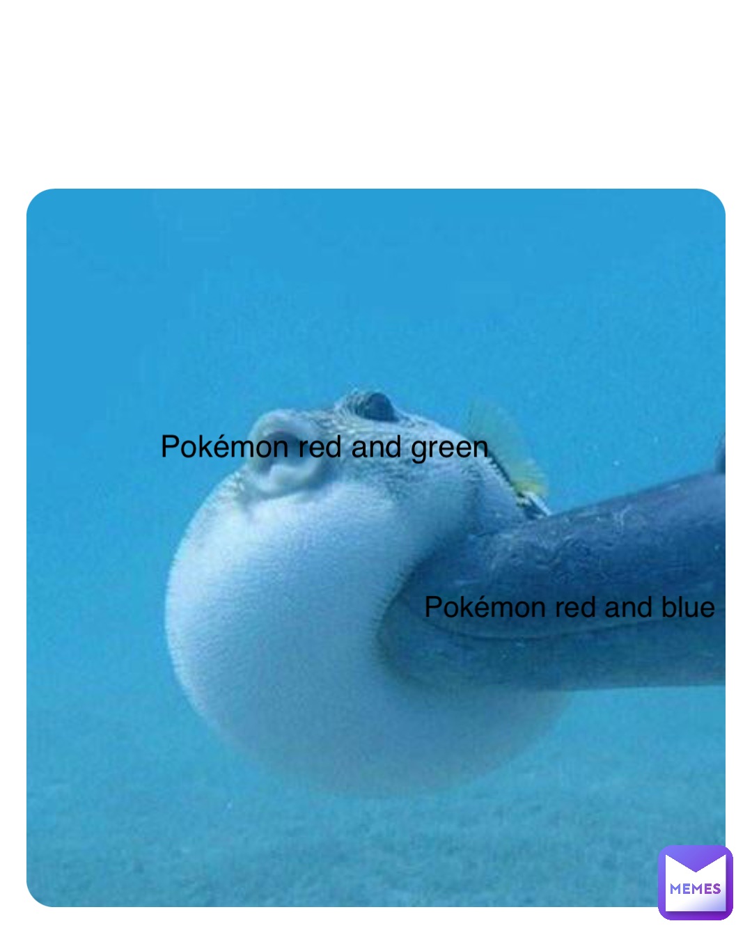 Pokémon red and green Pokémon red and blue