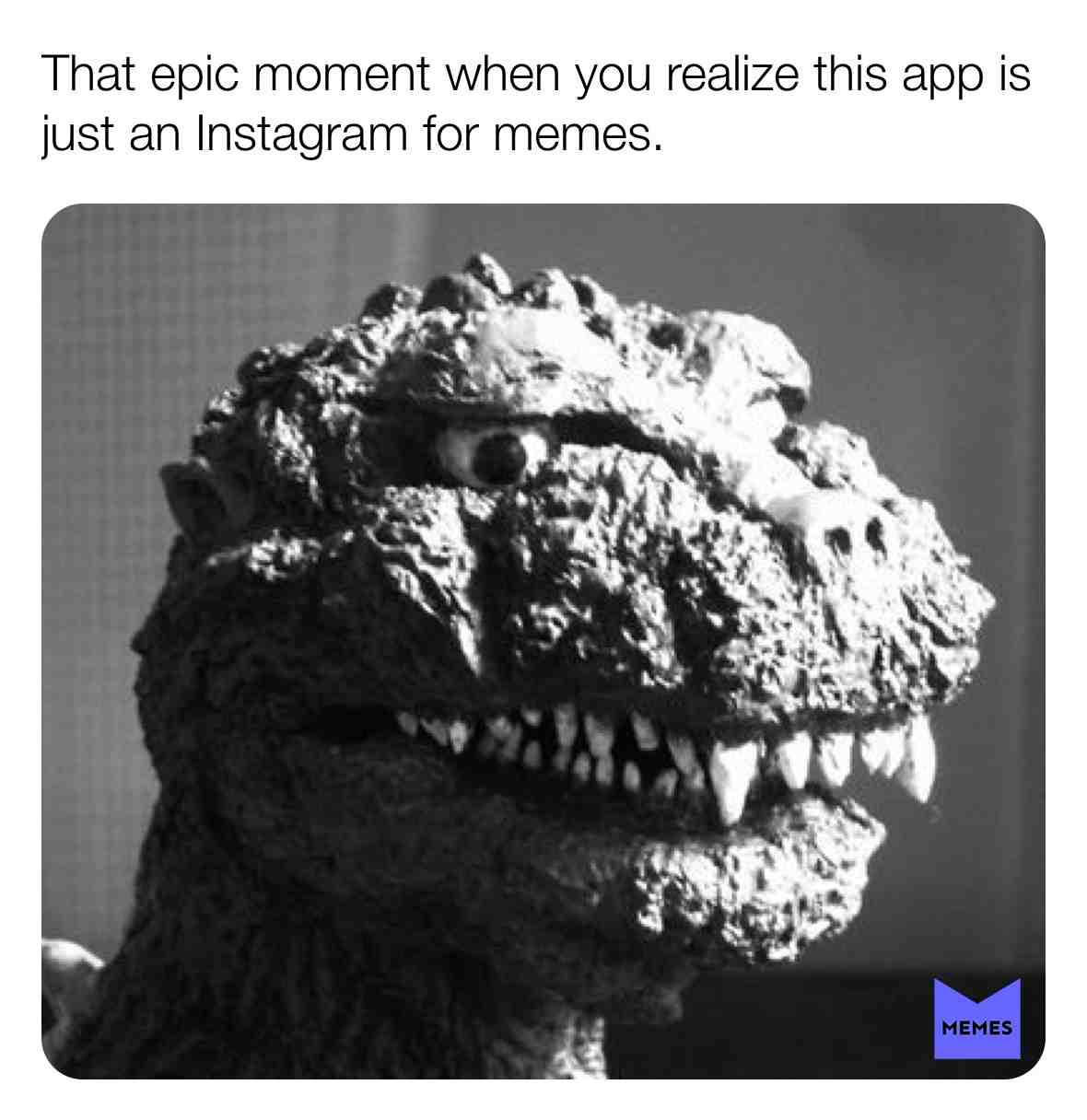 #memes #epic #awesome #fortnite #911 #what #hashtag #godzilla #thing #idk #chungus