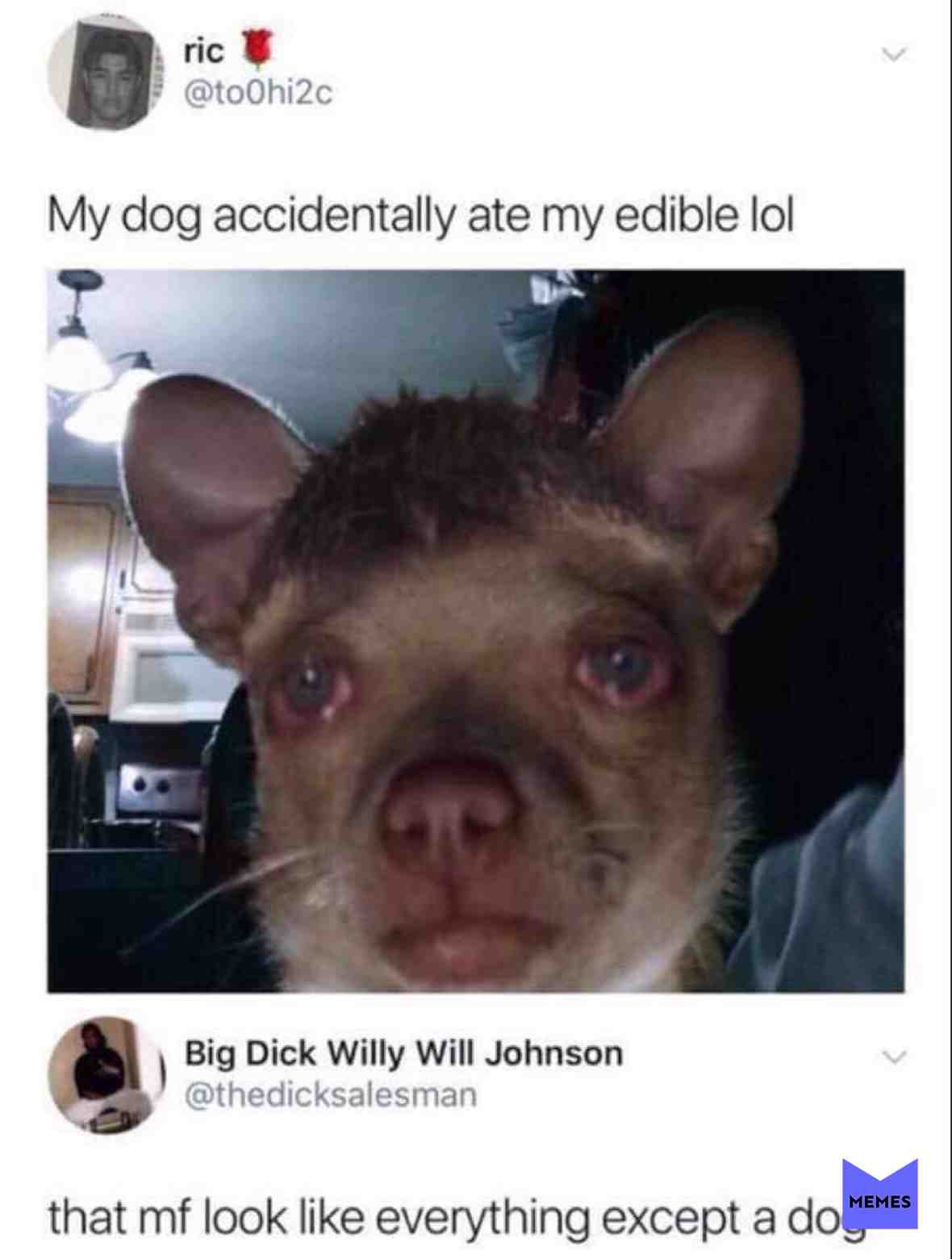 #memes