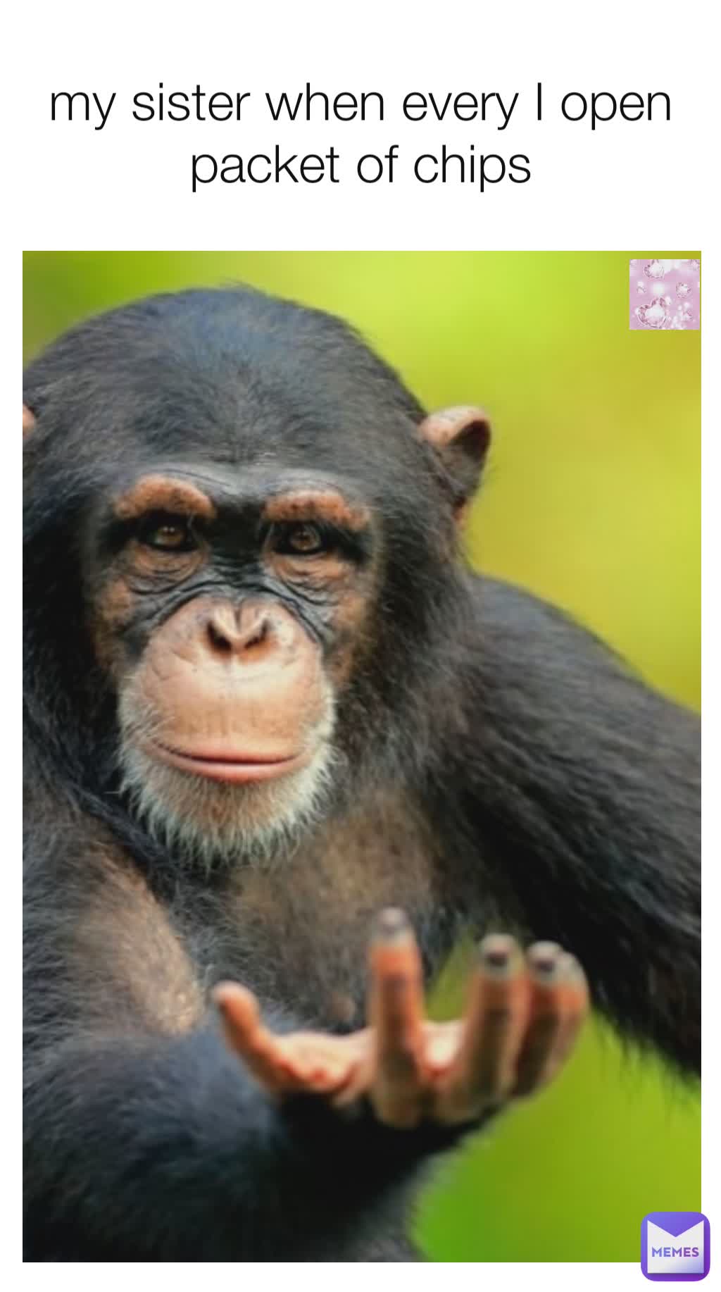 my sister when every I open packet of chips