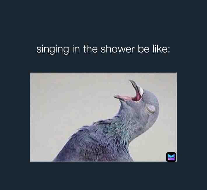 Meme shared by @beaniez_