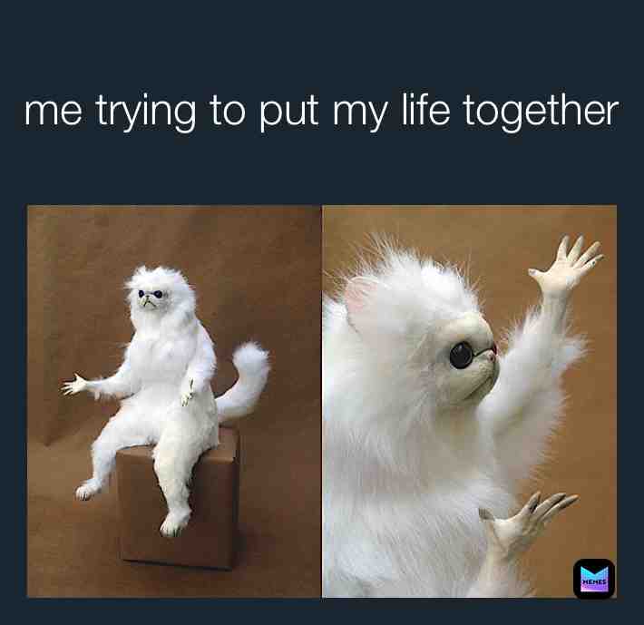 Meme shared by @beaniez_