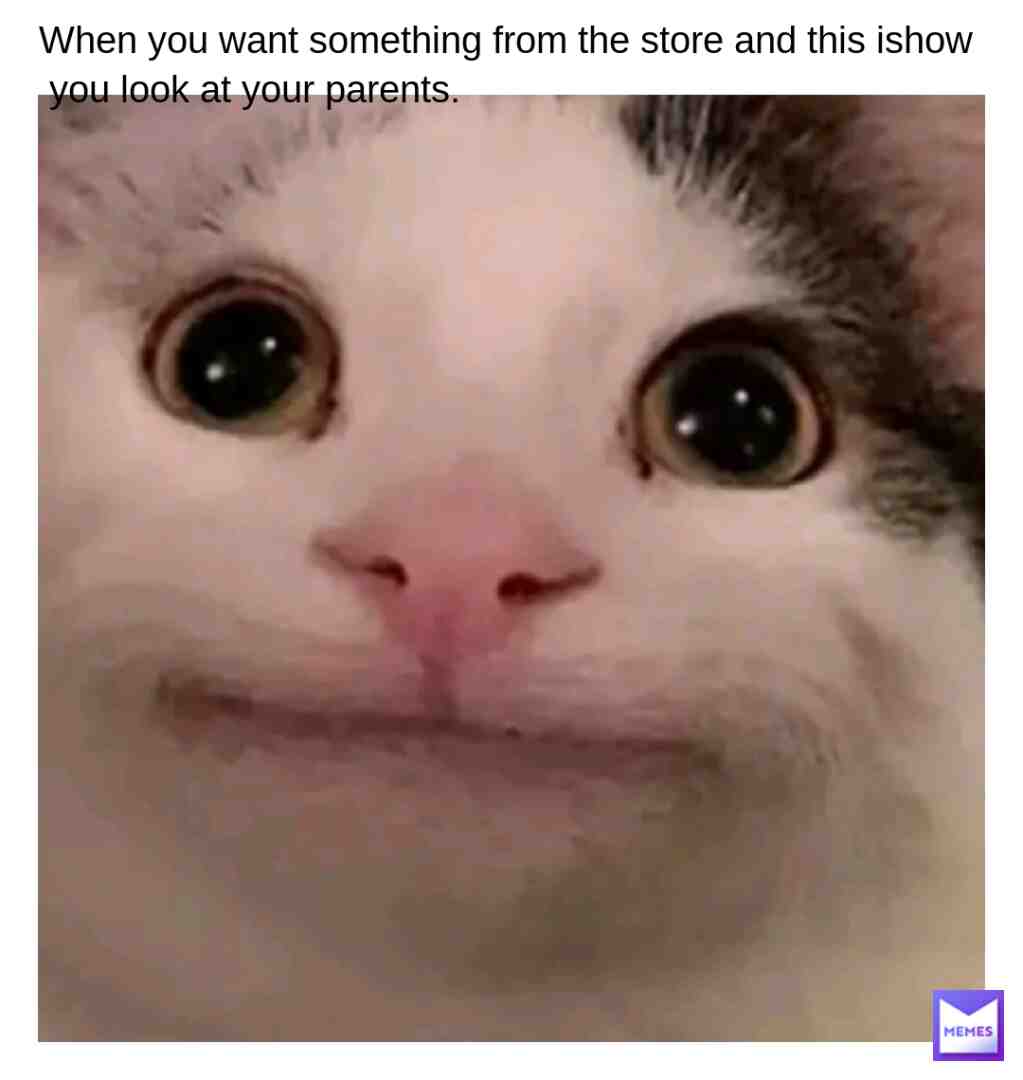 Meme shared by @Logan545487