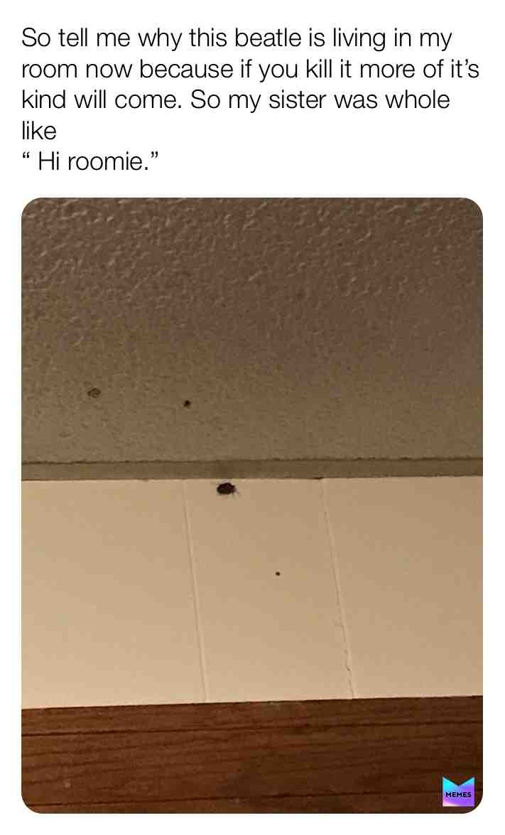 Meme shared by @justice_d