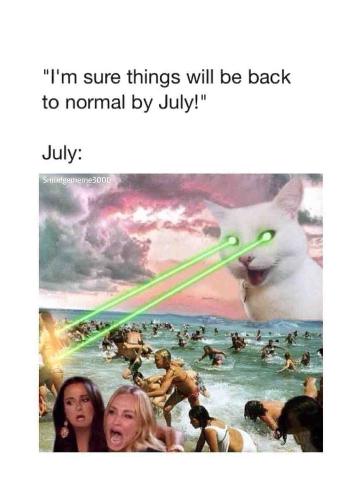 😂😂