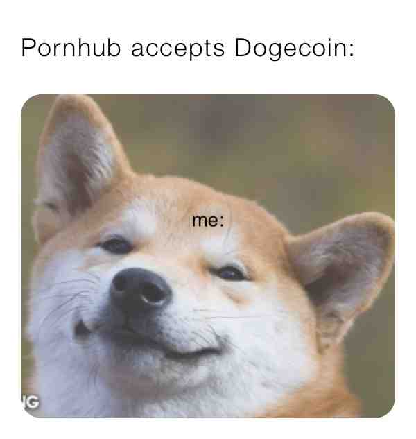 Buy doge #doge #bitcoin #rich #world #crypto #wow #dog #friend #action #life