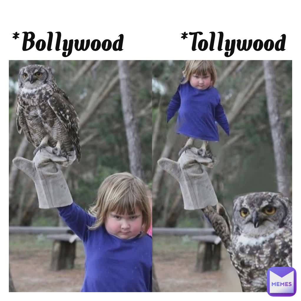 *Bollywood        *Tollywood