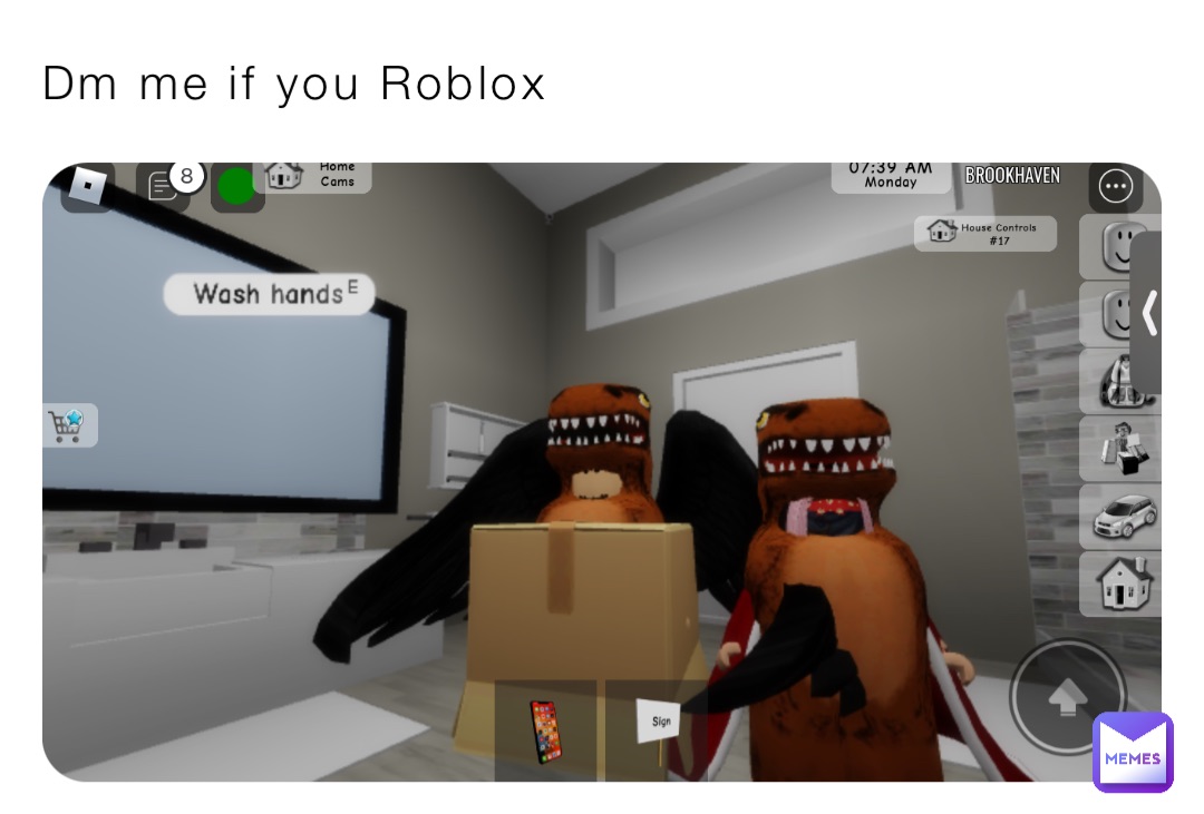 Dm me if you Roblox