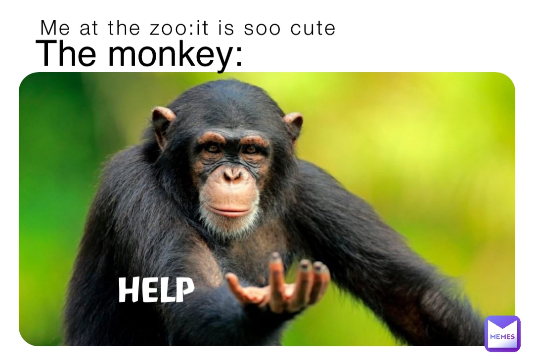 Me at the zoo:it is soo cute The monkey: HELP