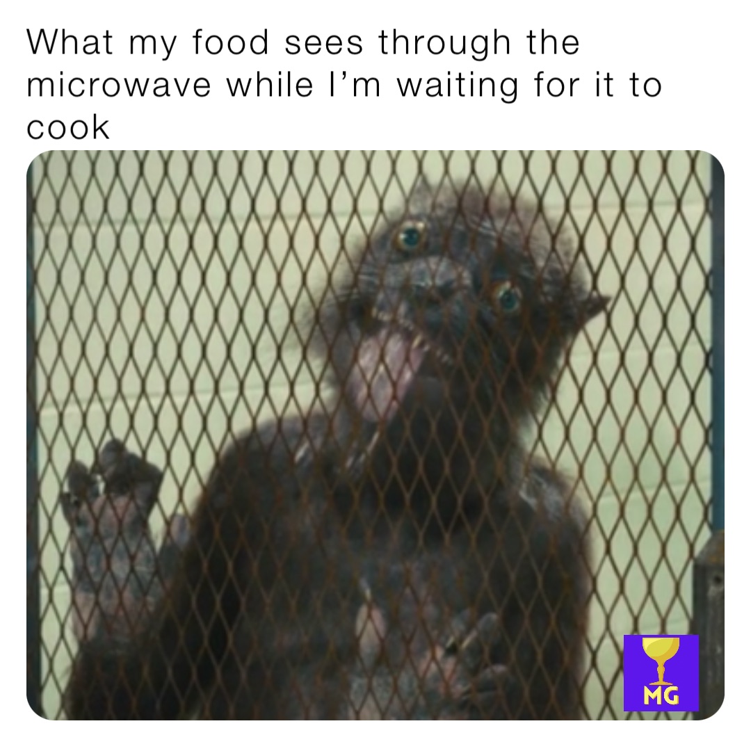 What my food sees through the microwave while I’m waiting for it to cook