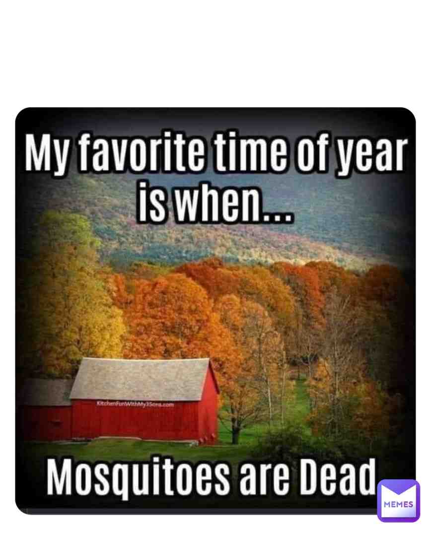 😂😂  #funny  #fall