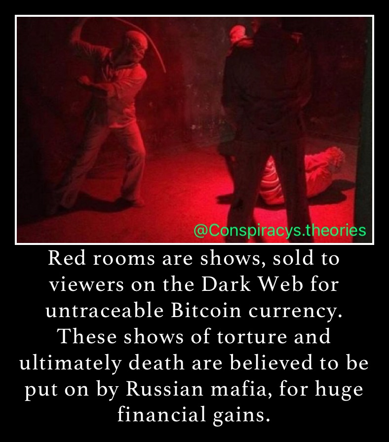 Red rooms are shows, sold to viewers on the Dark Web for untraceable Bitcoin currency. These shows of torture and ultimately death are believed to be put on by Russian mafia, for huge financial gains. 