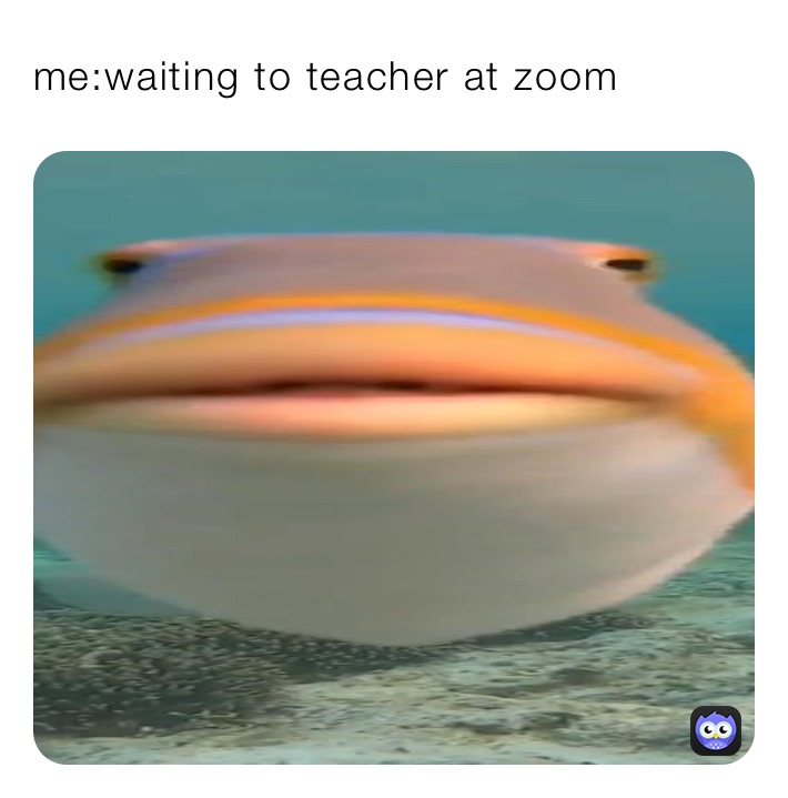 me:waiting to teacher at zoom