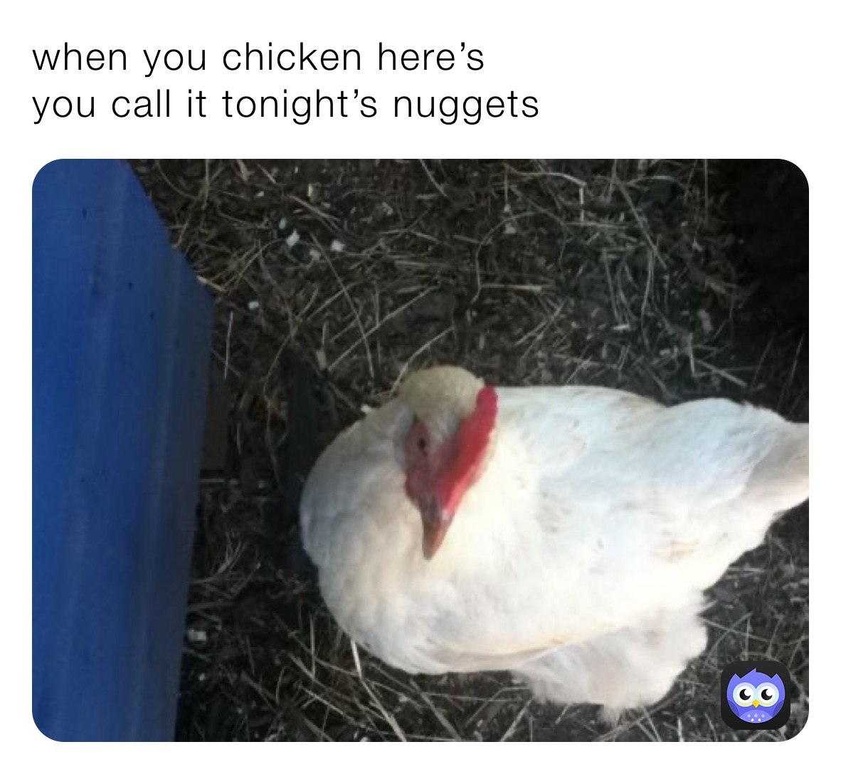 when you chicken here’s you call it tonight’s nuggets | @landen0907 | Memes